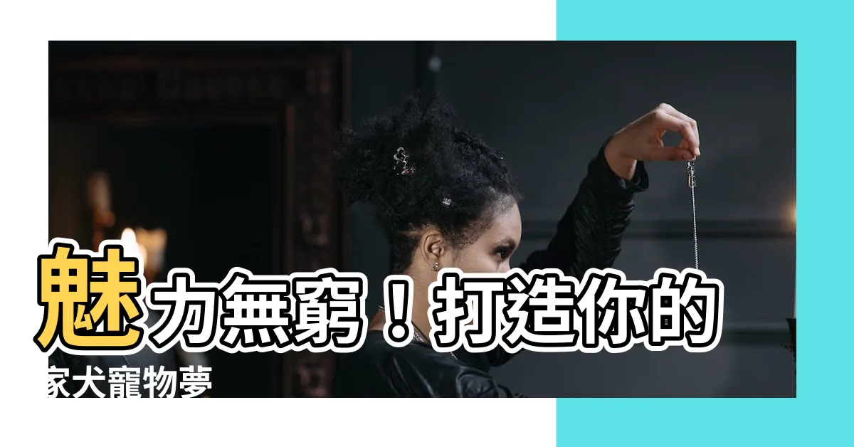 【家犬】魅力無窮！打造你的家犬寵物夢