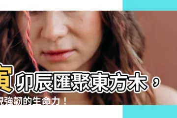 【寅卯辰匯聚東方木】寅卯辰匯聚東方木，展現強韌的生命力！