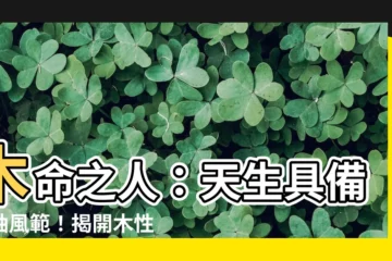 【木 性格】木命之人：天生具備領袖風範！揭開木性格的內在特質