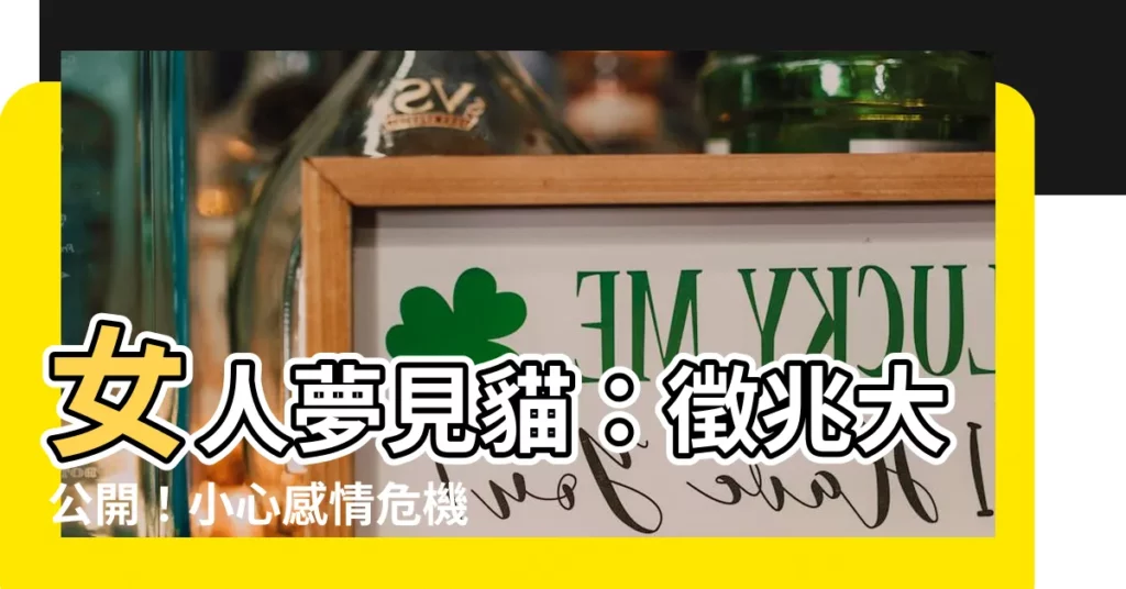 【女人夢見貓】女人夢見貓：徵兆大公開！小心感情危機，桃花朵朵開！