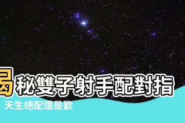 【雙子射手配對指數】揭秘雙子射手配對指數！天生絕配還是歡喜冤家？