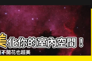 【室內爬藤植物】美化你的室內空間！6 種不開花也超美的室內爬藤植物推薦