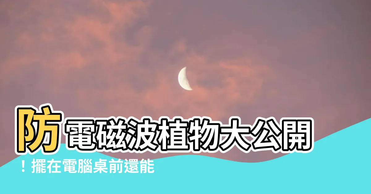 【防電磁波植物】防電磁波植物大公開！擺在電腦桌前還能淨化空氣