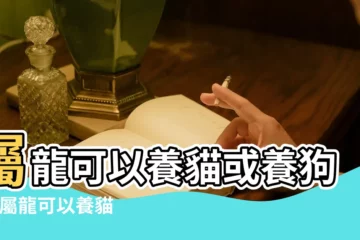 【肖龍女人養狗】屬龍可以養貓或養狗嗎 |屬龍可以養貓或養狗嗎 |屬龍的人養什麼動物對運勢有 |