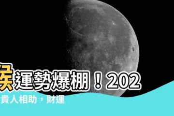 【猴 運勢】猴運勢爆棚！2024年貴人相助，財運事業通通旺！