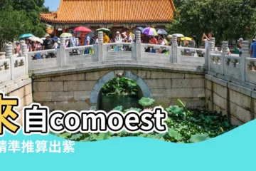 【聖人八字】來自comoesta |精準推算出紫微聖人的八字 |解密聖人的生辰八字壬辰癸巳是根源 |