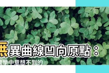 【無異曲線凹向原點】無異曲線凹向原點：經濟學中意想不到的現象