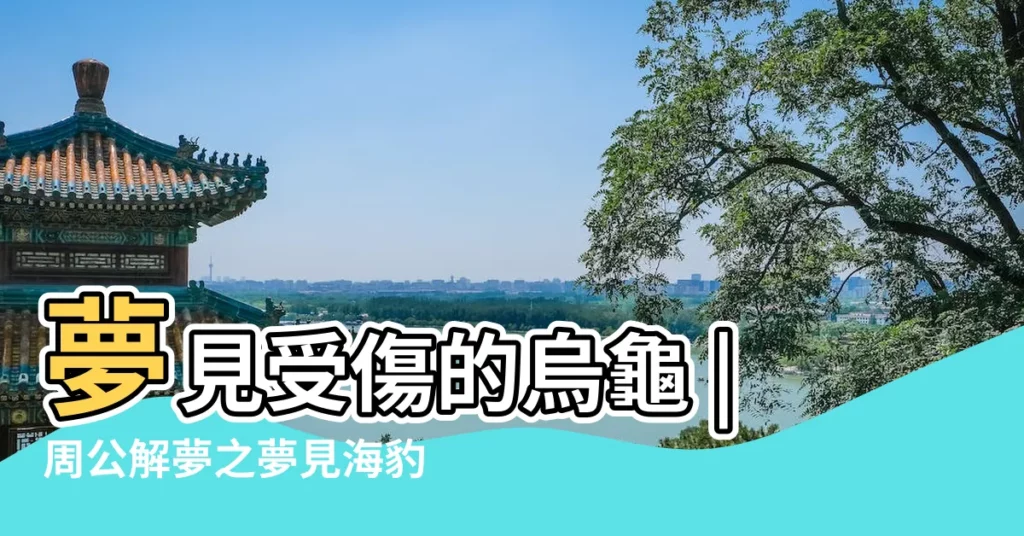 夢見受傷的烏龜 |周公解夢之夢見海豹 |夢見海邊懸崖周公解夢之夢到海邊懸崖 |【夢見懸崖邊看到海龜】