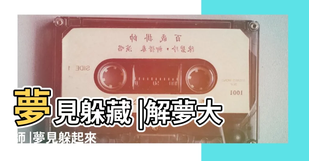 夢見躲藏 |解夢大師 |夢見躲起來 |【夢見躲進廚房】