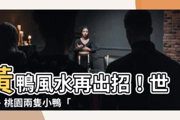 【黃鴨 風水】黃鴨風水再出招！世運、桃園兩隻小鴨「命運多舛」的玄機