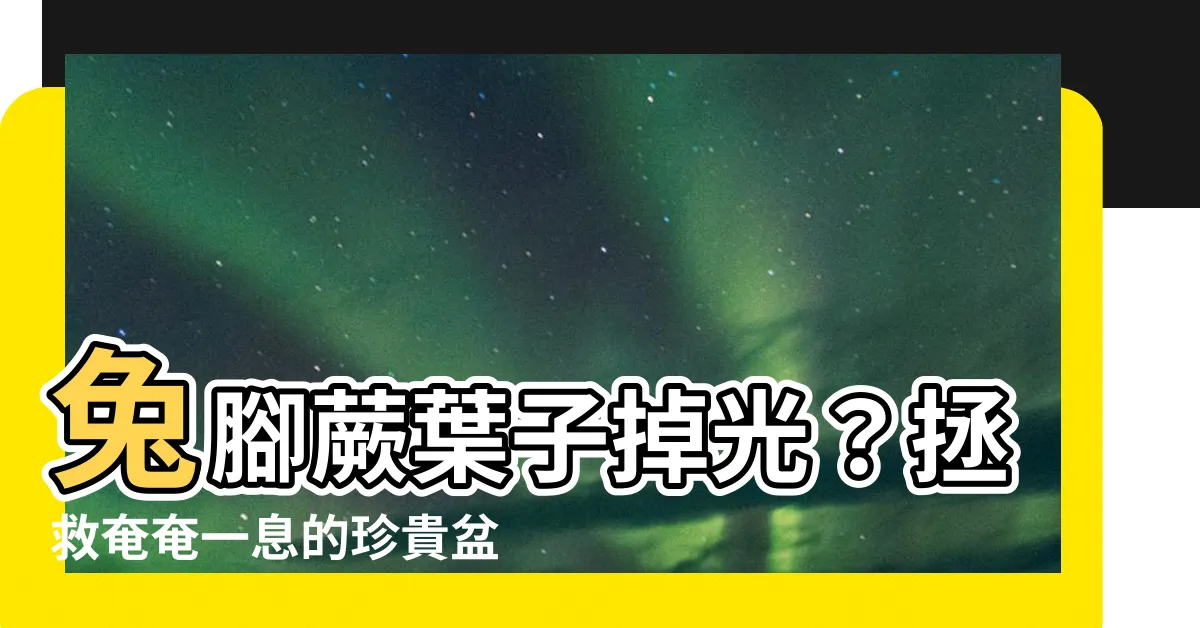 【兔腳蕨葉子掉光】兔腳蕨葉子掉光？拯救奄奄一息的珍貴盆栽