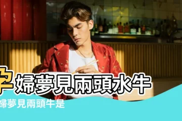 【孕婦才夢見兩頭水牛】孕婦夢見兩頭水牛 |孕婦夢見兩頭牛是什麼意思 |懷孕夢見兩頭水牛 |