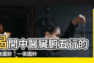 【臟腑五行】揭開中醫臟腑五行的神秘面紗：一張圖秒懂！