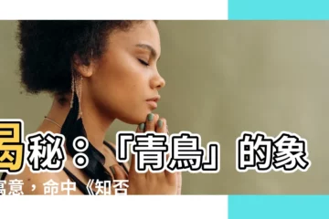 【青鳥 象徵】揭秘：「青鳥」的象徵寓意，命中《知否》的關鍵人物？