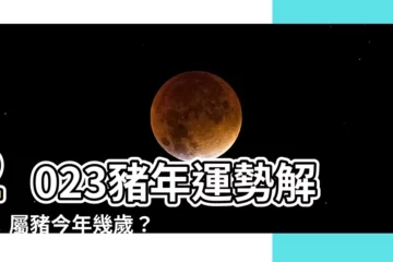 【豬年】2023豬年運勢解析！屬豬今年幾歲？屬豬性格特質完整解析