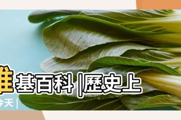 【1月】維基百科 |歷史上的今天 |