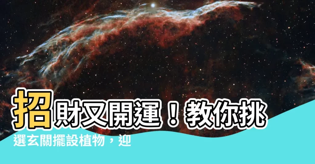 【玄關擺設植物】招財又開運！教你挑選玄關擺設植物，迎好運滾滾來！