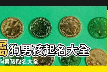 【屬狗 名字 好聽的名字大全】屬狗男孩起名大全 |屬狗男孩取名大全 |屬狗的男孩起名技巧和名字大全 |