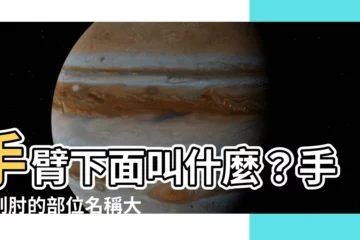 【手臂下面叫什麼】手臂下面叫什麼？手腕到肘的部位名稱大公開！