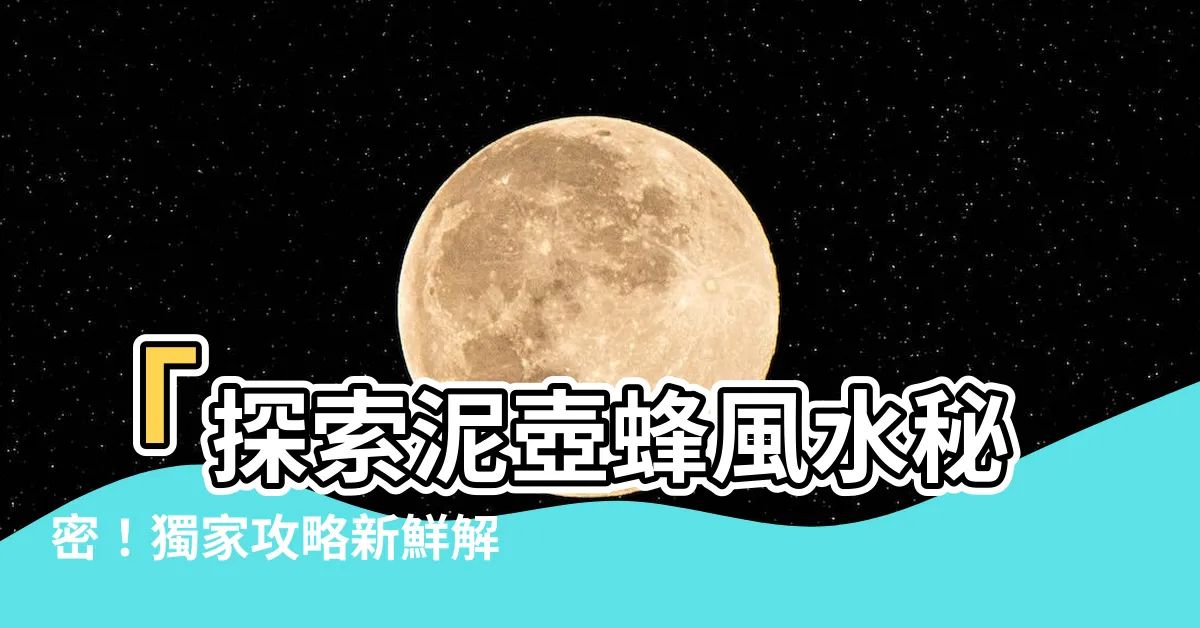 【泥壺蜂風水】「探索泥壺蜂風水秘密！獨家攻略新鮮解析！精彩內容一次呈現！」