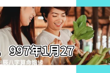 【1997年1月27日什麼命】1997年1月27日生辰八字算命姻緣 |1997年01月27日出生的人的性格命運 |1997年1月27日出生的人生辰八字測算 |