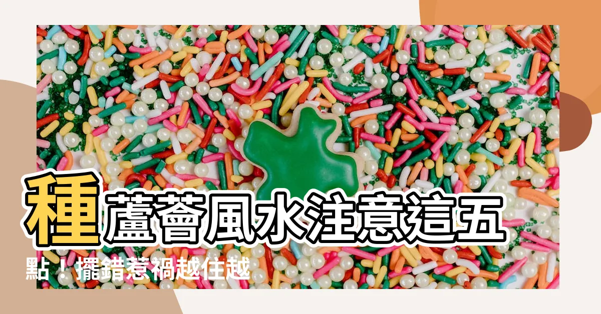 【種蘆薈風水】種蘆薈風水注意這五點！擺錯惹禍越住越窮