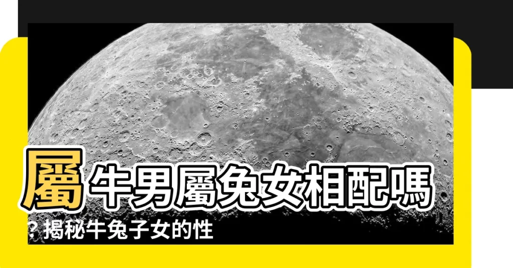 【牛兔子女】屬牛男屬兔女相配嗎？揭秘牛兔子女的性格特質！