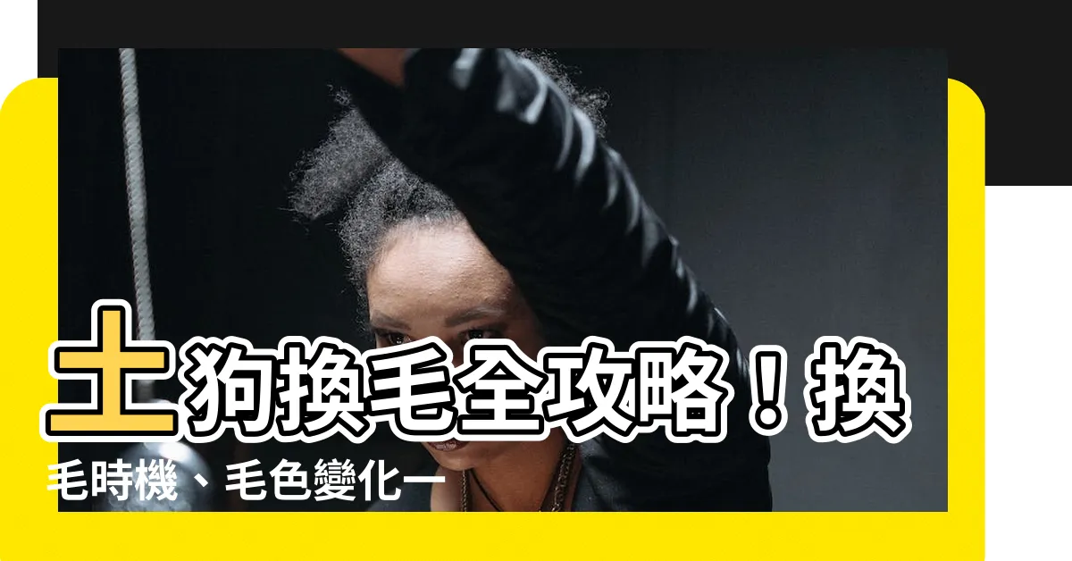【土狗換毛】土狗換毛全攻略！換毛時機、毛色變化一次搞懂