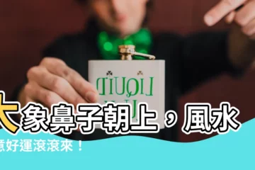 【大象鼻子朝上】大象鼻子朝上，風水寓意好運滾滾來！