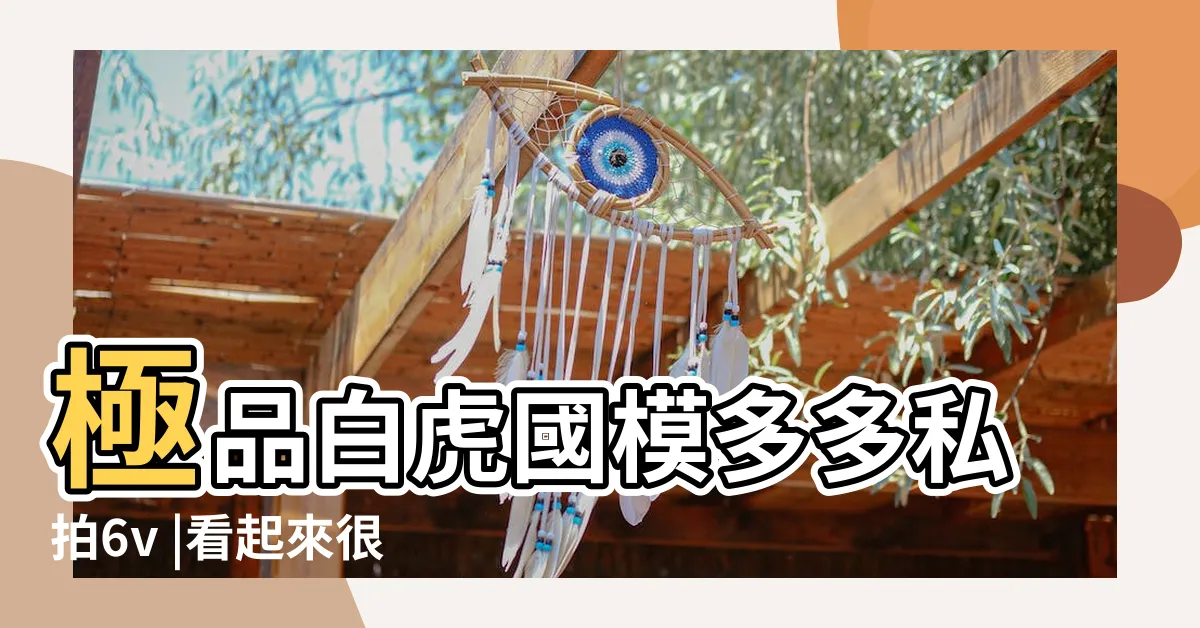 【白虎國模多多】極品白虎國模多多私拍6v |看起來很仙的白虎國模多多80分鍾超長拍攝過程超清版小穴粉嫩 |高顏極品白虎一線天饅頭嫩幣 |