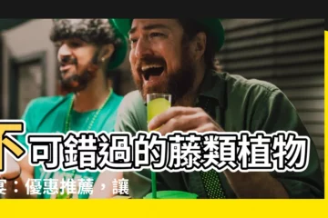 【藤類植物】不可錯過的藤類植物盛宴：優惠推薦，讓你的綠意風光再現