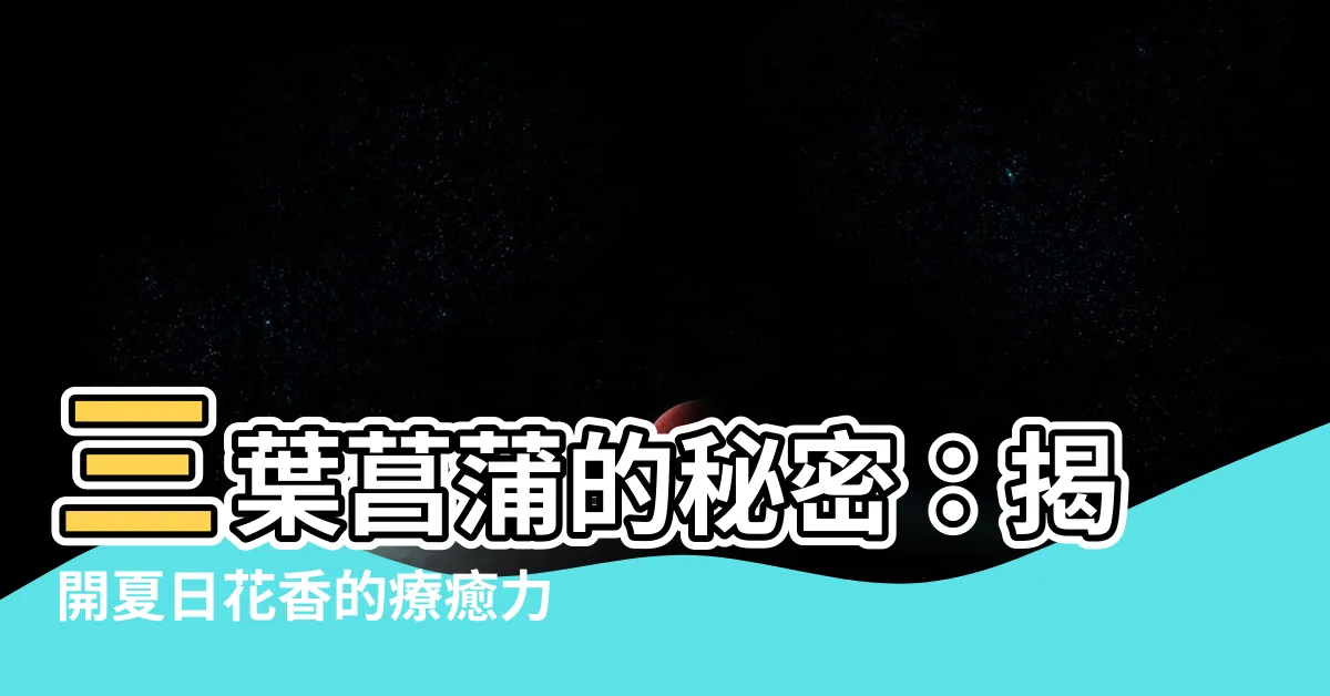 【菖蒲】三葉菖蒲的秘密：揭開夏日花香的療癒力量