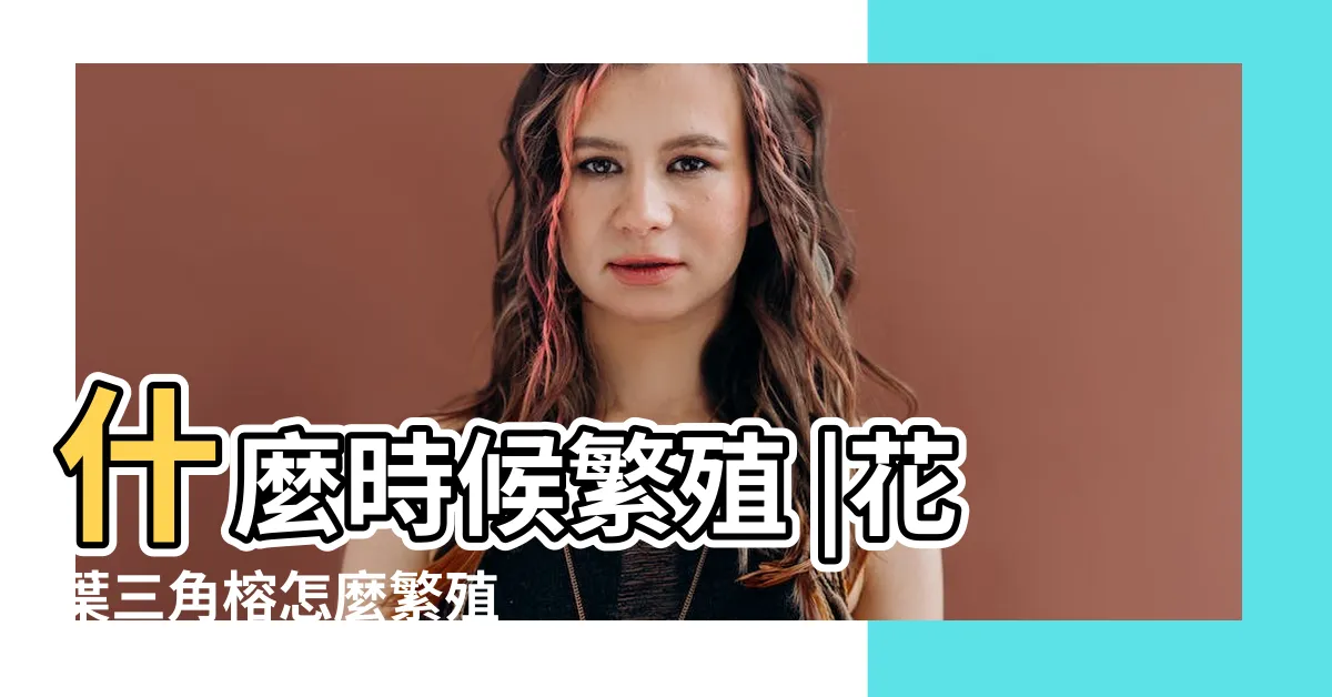 【斑葉三角榕繁殖】什麼時候繁殖 |花葉三角榕怎麼繁殖 |花葉三角榕怎麼繁殖 |