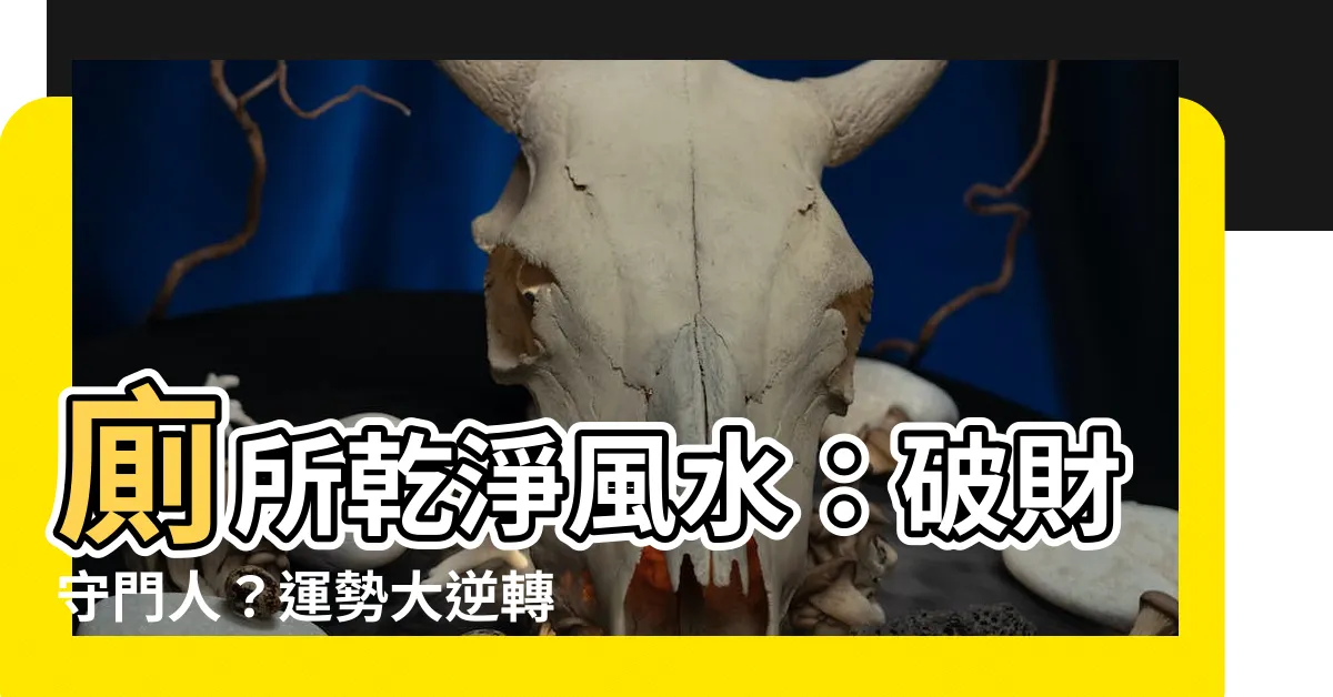 【廁所乾淨風水】廁所乾淨風水：破財守門人？運勢大逆轉的5個關鍵細節