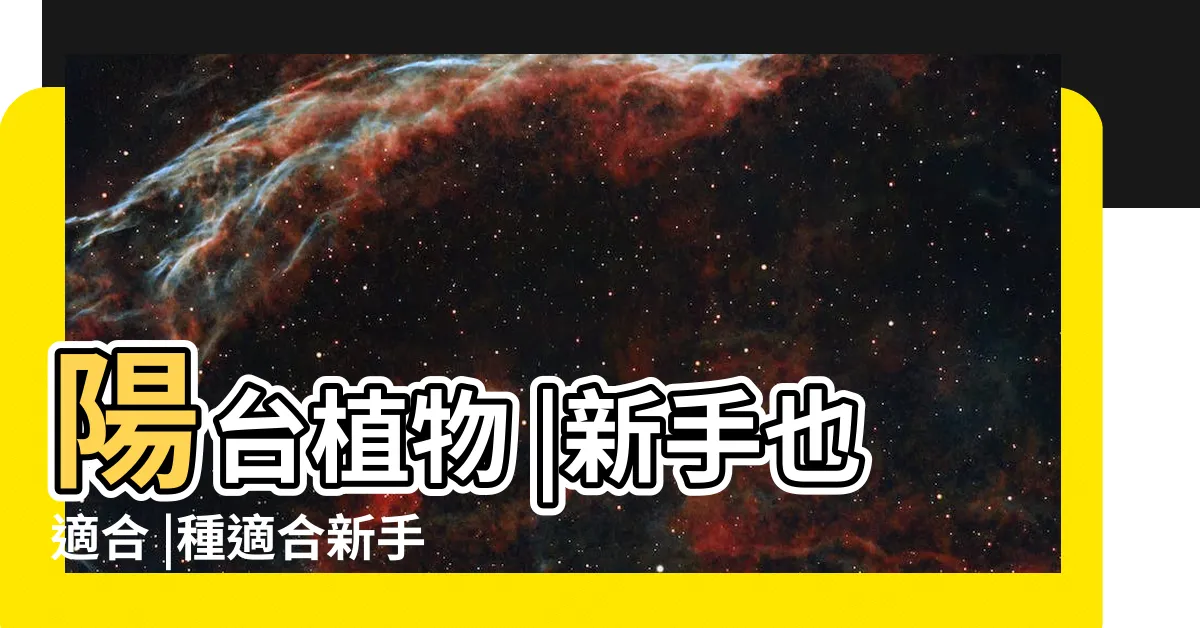 【陽台植物推薦】陽台植物 |新手也適合 |種適合新手的陽台植物推薦 |