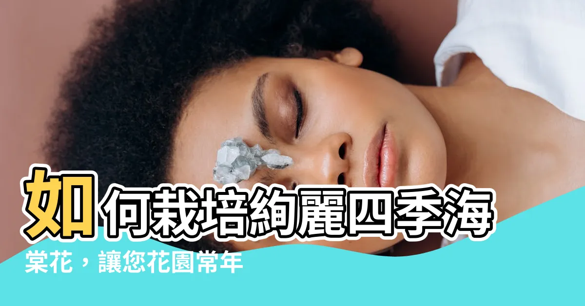 【海堂花】如何栽培絢麗四季海棠花，讓您花園常年綻放芬芳