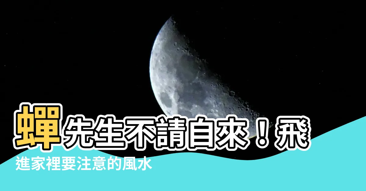 【蟬跑到家裡】蟬先生不請自來！飛進家裡要注意的風水影響