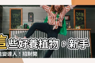 【好養的植物】這些好養植物，新手也能變達人！招財開運、美化空間一次擁有！