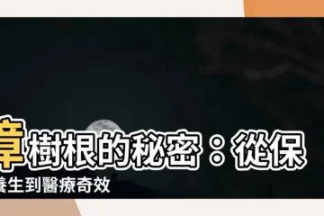 【樟樹根】樟樹根的秘密：從保健養生到醫療奇效