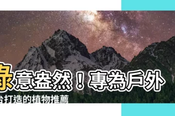 【適合室外的植物】綠意盎然！專為户外陽台打造的植物推薦，新手也能養出茂盛美景