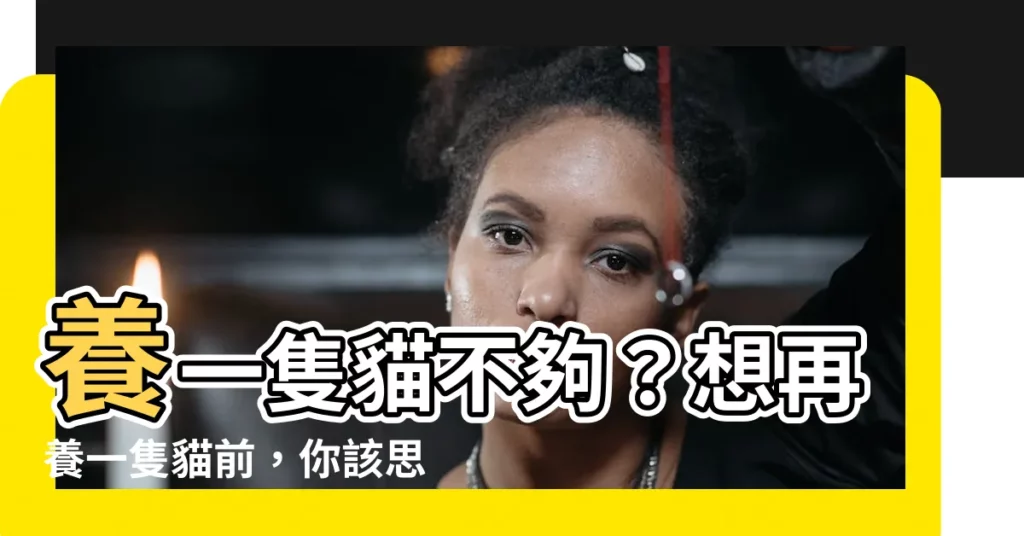 【養兩隻貓】養一隻貓不夠？想再養一隻貓前，你該思考的4個重點