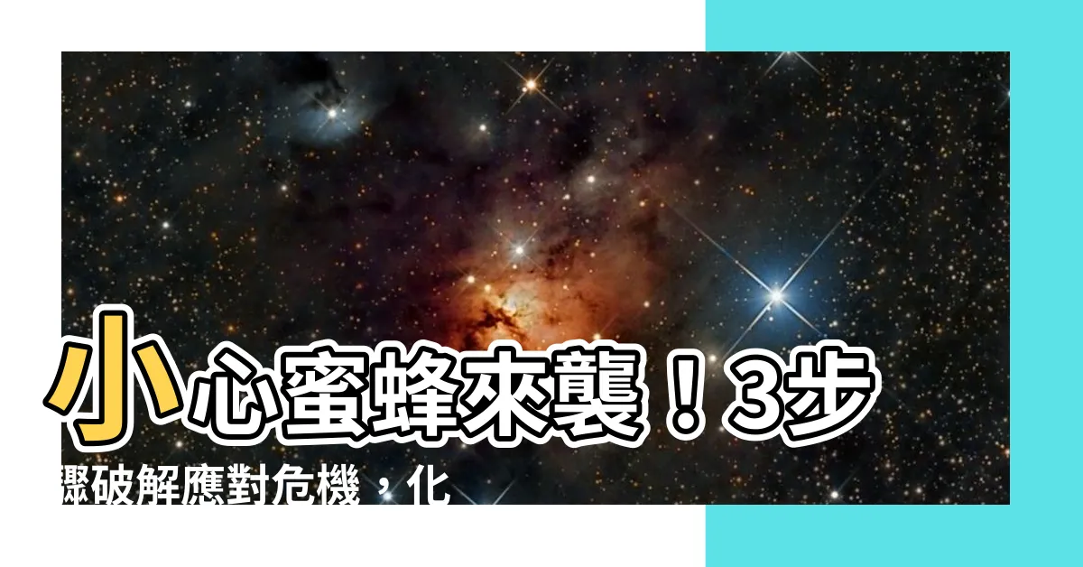 【遇到蜜蜂】小心蜜蜂來襲！3步驟破解應對危機，化險為夷