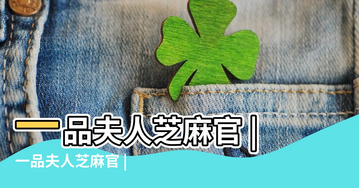 【一品夫人芝麻官】一品夫人芝麻官 |一品夫人芝麻官 |一品夫人芝麻官 |