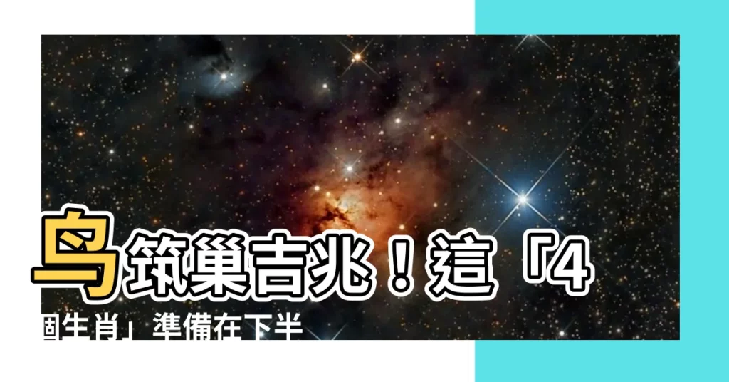 【鳥築巢吉兆】鳥築巢吉兆！這「4個生肖」準備在下半年迎好運