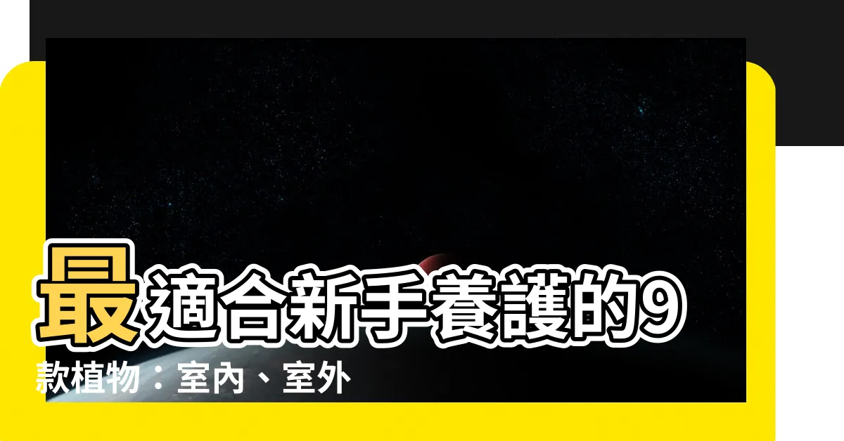 【最好種的植物】最適合新手養護的9款植物：室內、室外、陽台全部適用！