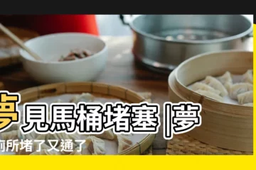 【周公解夢見廁所堵塞】夢見馬桶堵塞 |夢見廁所堵了又通了 |夢見馬桶堵塞 |