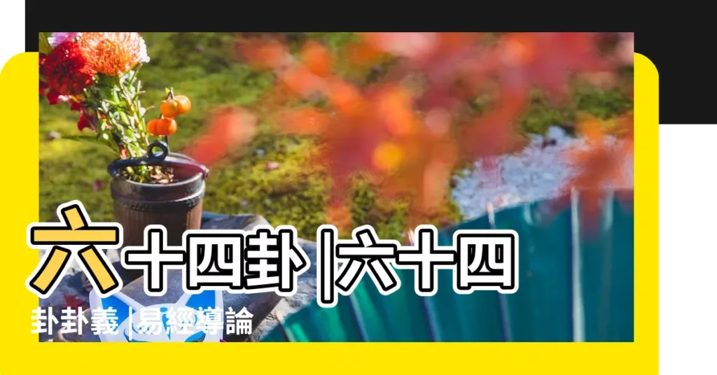 六十四卦 |六十四卦卦義 |易經導論第01 |【六十四文王卦二十二卦解説】