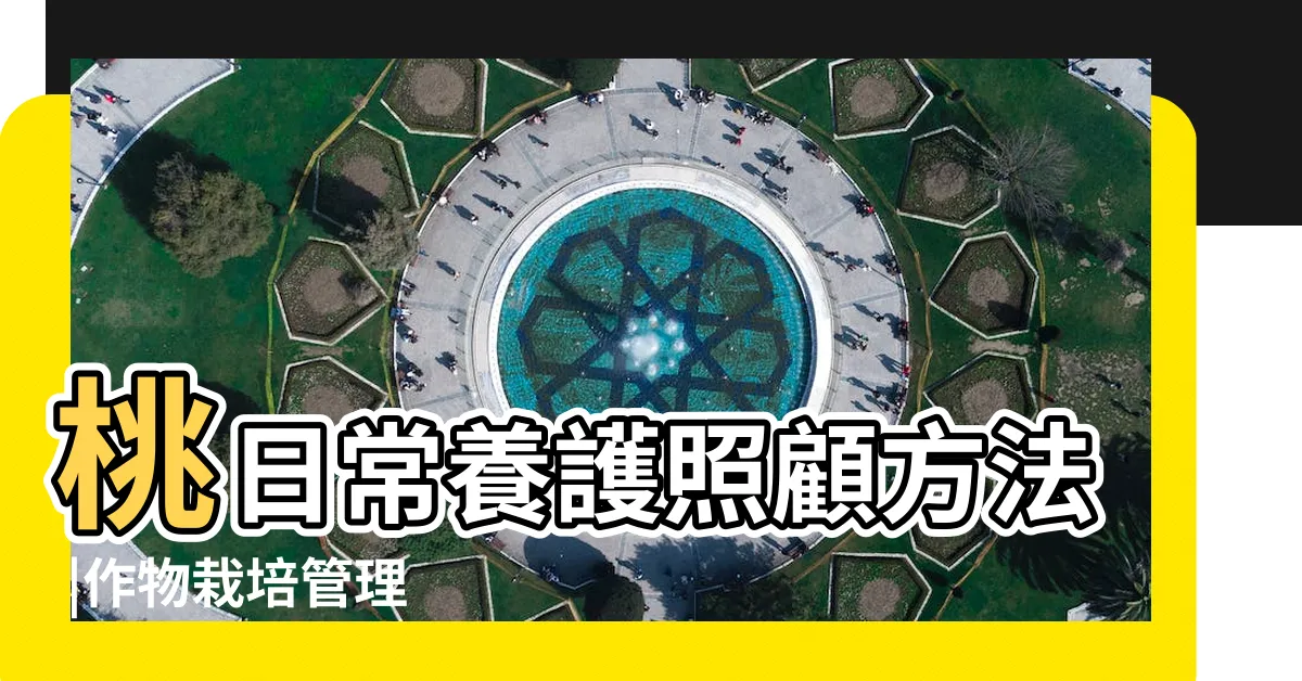 【桃樹種植】桃日常養護照顧方法 |作物栽培管理 |桃樹種植指南 |