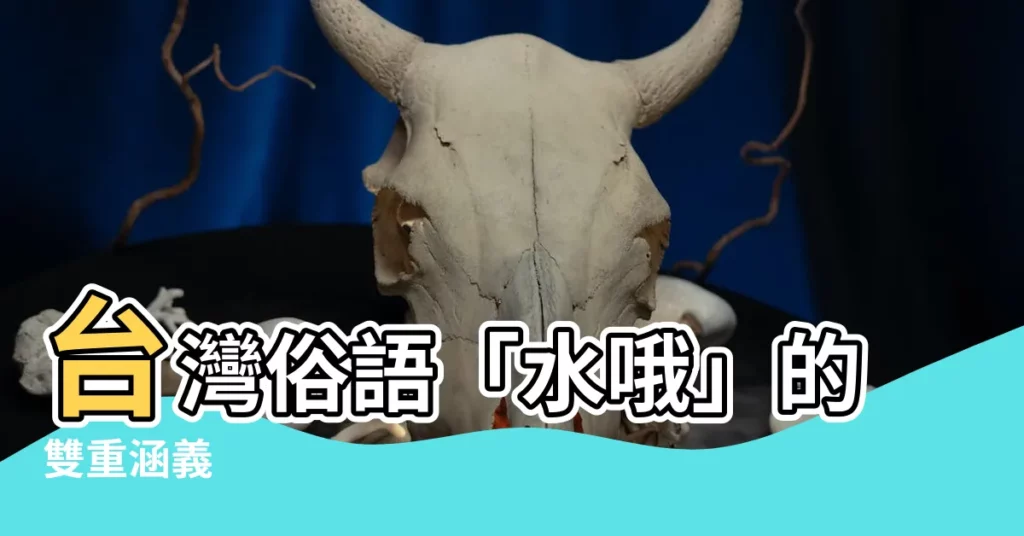 【水哦意思】台灣俗語「水哦」的雙重涵義