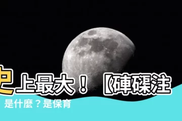 【硨磲注音】史上最大！【硨磲注音】是什麼？是保育類嗎？